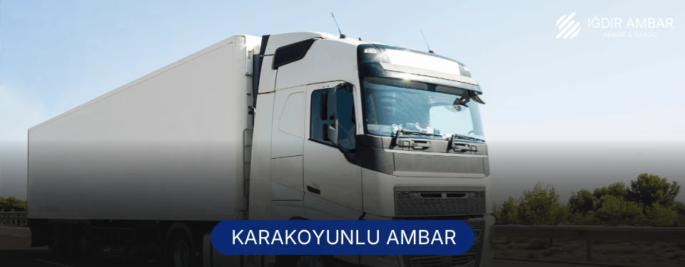 Karakoyunlu Ambar